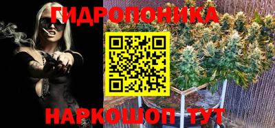 Альфа ПВП Нальчик