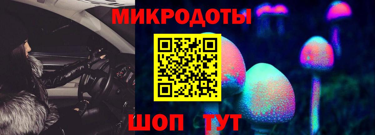 Псилоцибиновые грибы Psilocybine cubensis Усть-Джегута