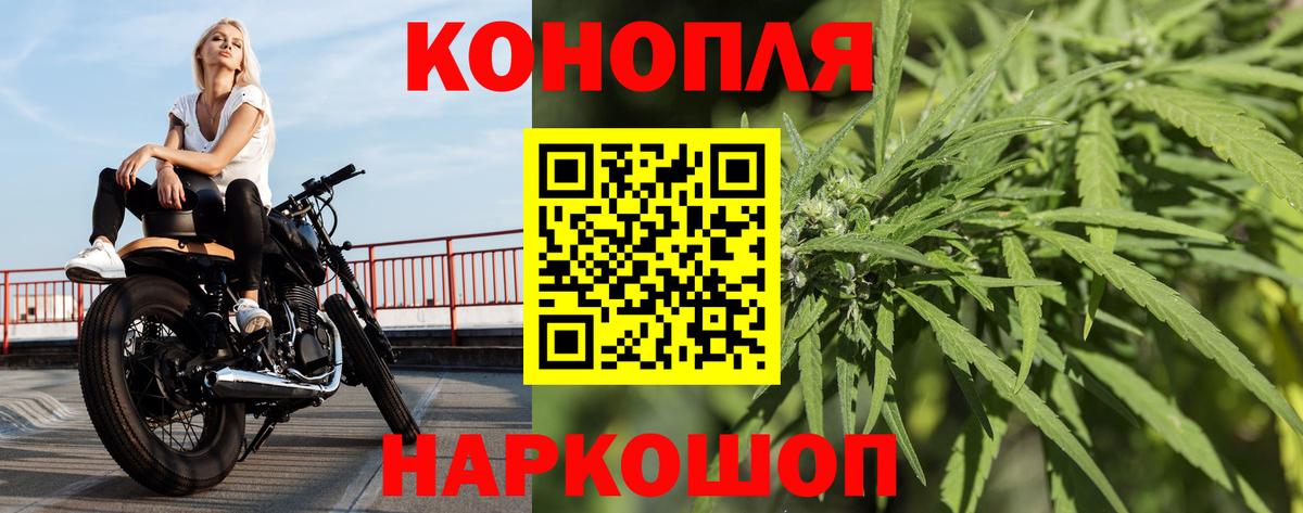 Канабис AK-47 Усть-Джегута